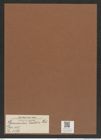 Hemiaulus hostilis Heib. (de-Toni-Nr.: Genus 117, Species 3371) Zeichnungen Sammlung Grunow Mappe 03577 (Herbarium_W_Grunow_drawings_Folder_03577)